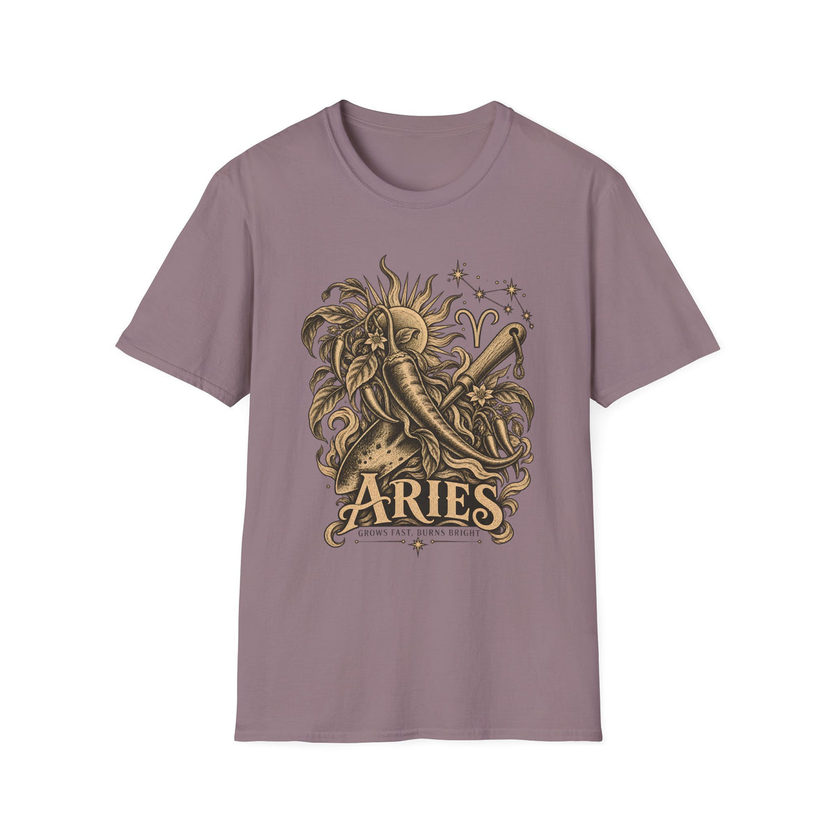 Aries Zodiac T-Shirt
