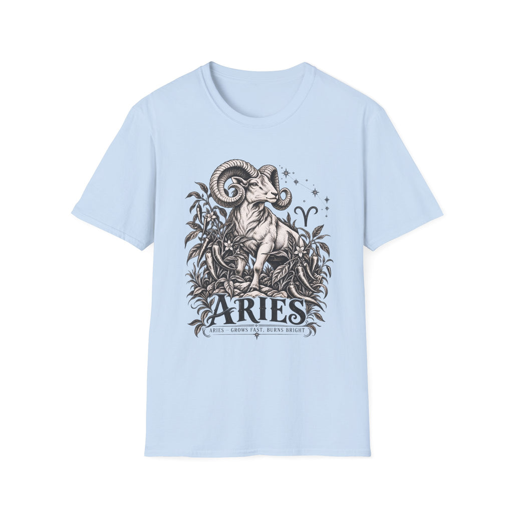 Aries Zodiac T-Shirt