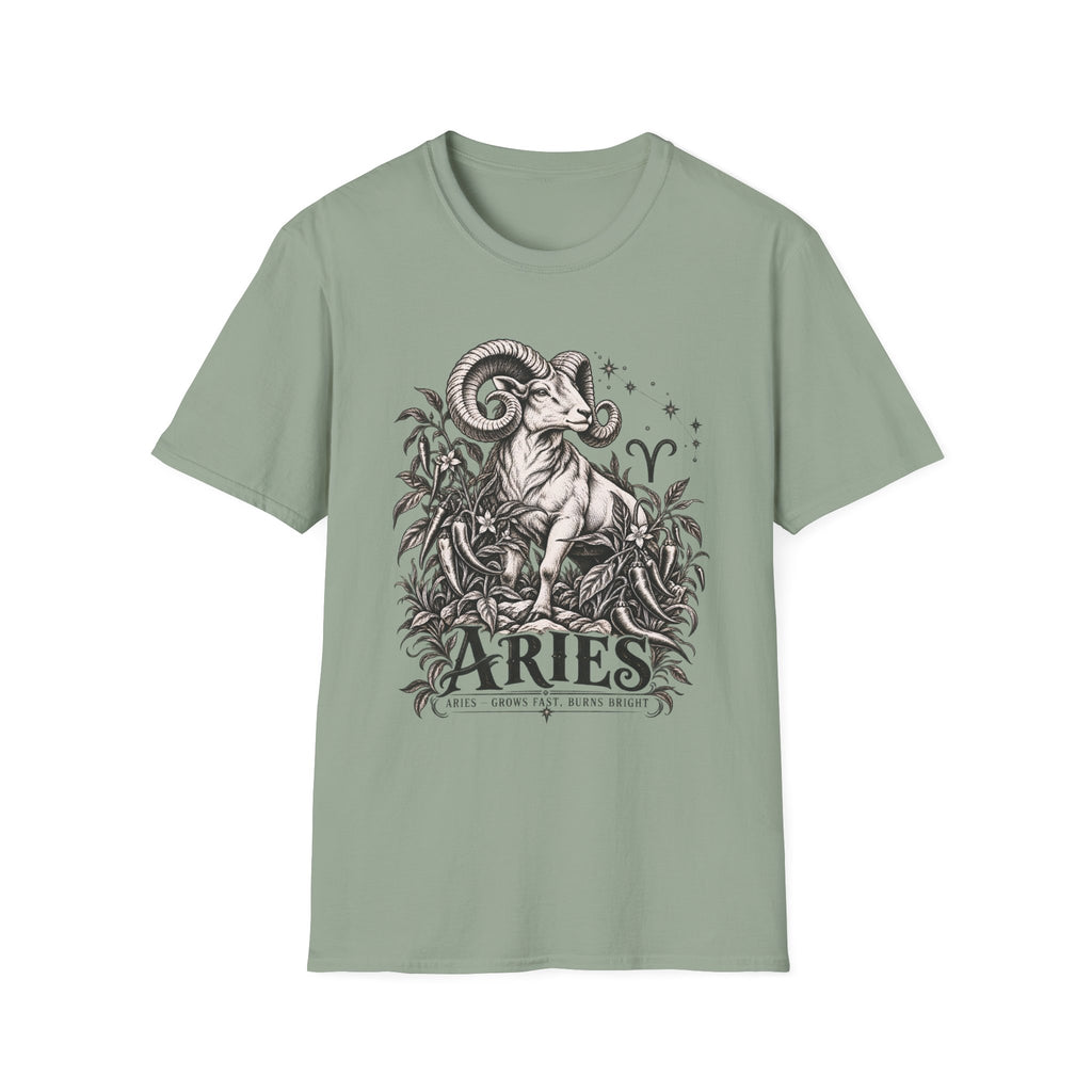 Aries Zodiac T-Shirt