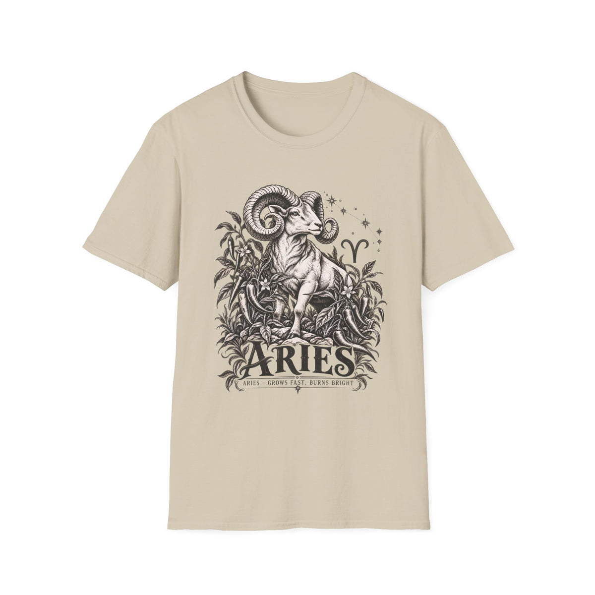 Aries Zodiac T-Shirt
