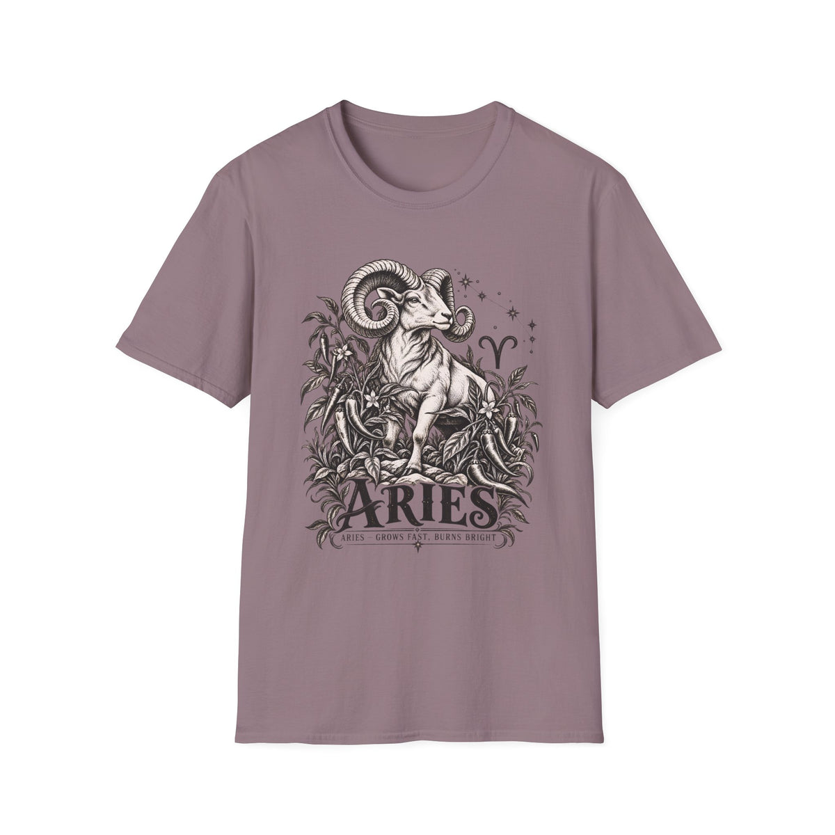 Aries Zodiac T-Shirt