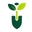 DirtWink Collections logo